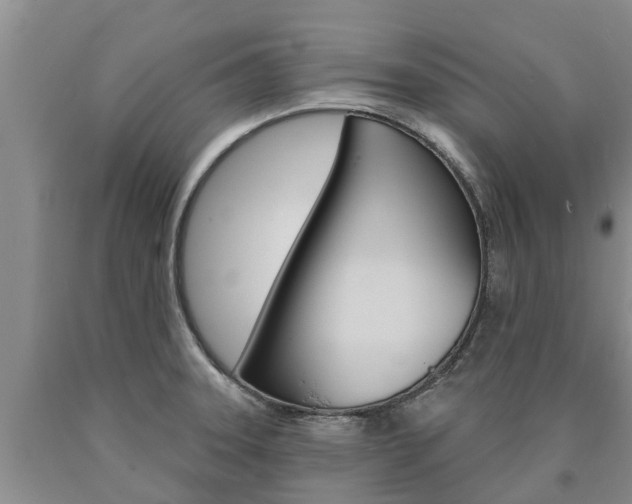 X0000090871331200707270946