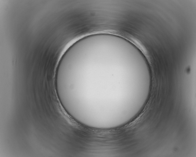 X0000090871332200707270946