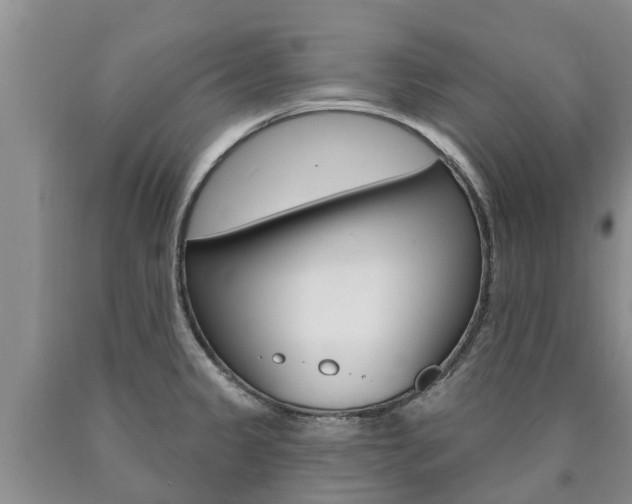 X0000090871333200707270946