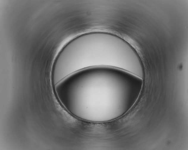 X0000090871334200707270946