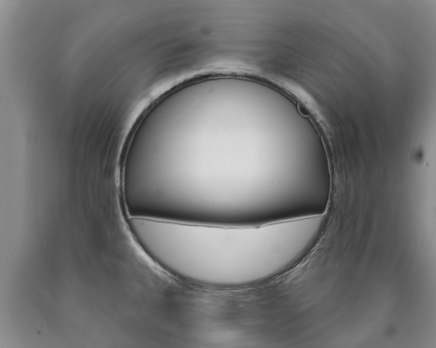 X0000090871335200707270946