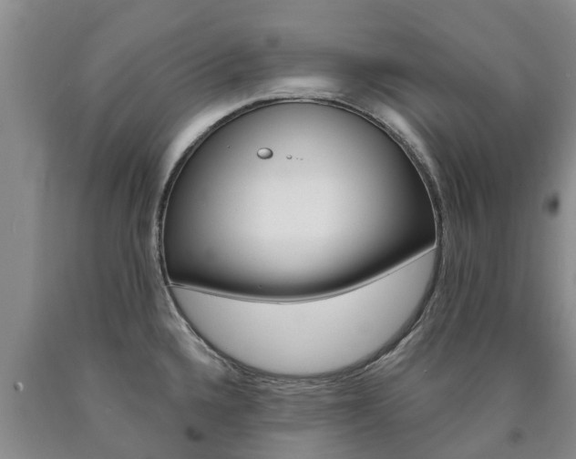 X0000090871336200707270946