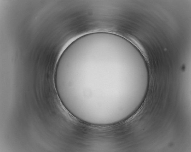 X0000090871340200707270946