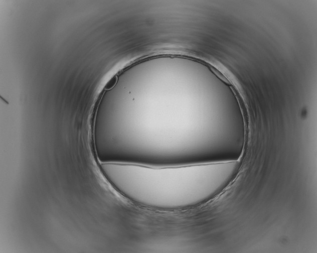X0000090871341200707270947