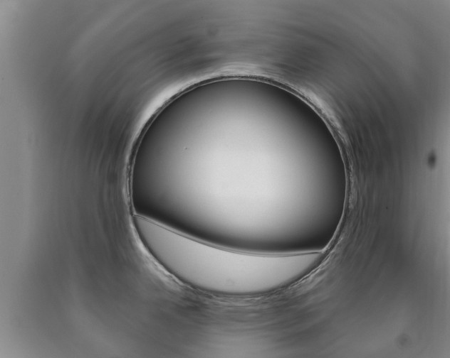 X0000090871342200707270947