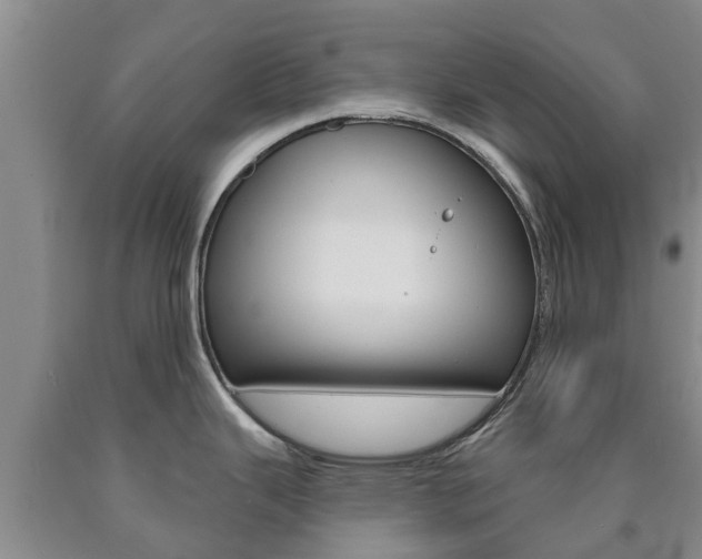 X0000090871343200707270947
