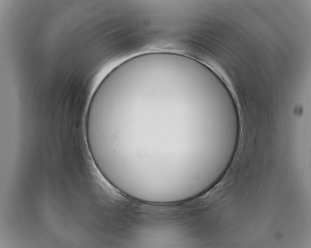 X0000090871344200707270947