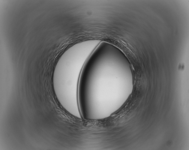 X0000090871345200707270946