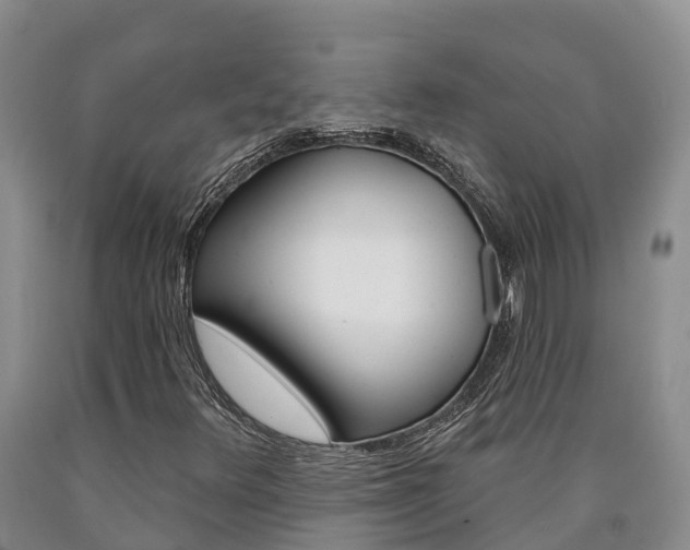 X0000090871348200707270946