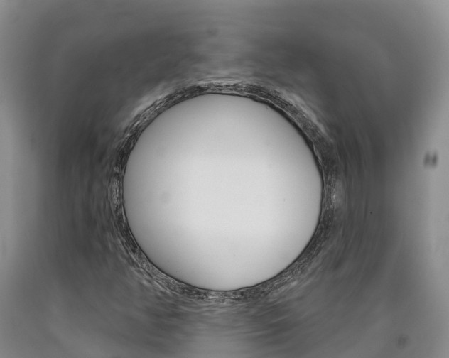 X0000090871350200707270946
