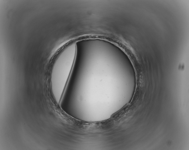 X0000090871352200707270946