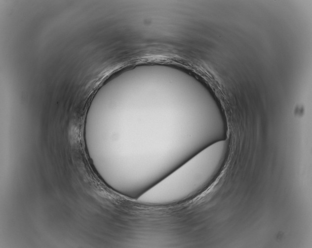 X0000090871353200707270946