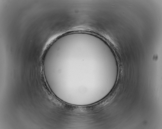X0000090871358200707270946