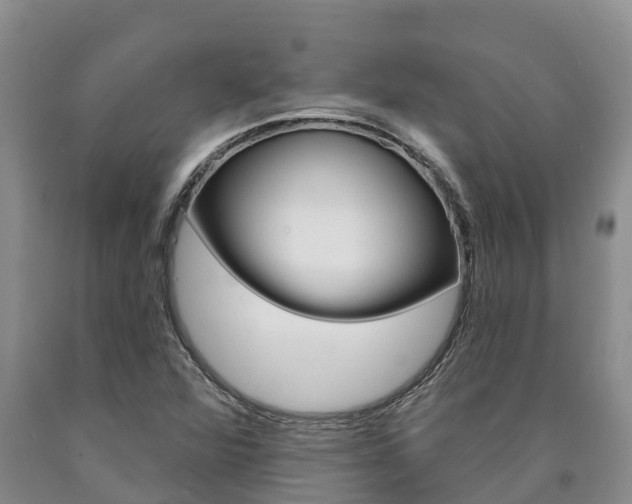 X0000090871360200707270946
