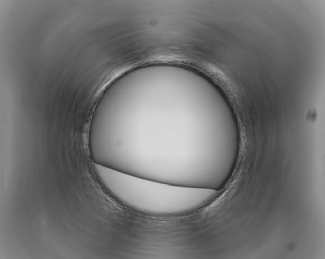 X0000090871361200707270946