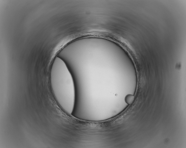 X0000090871362200707270946