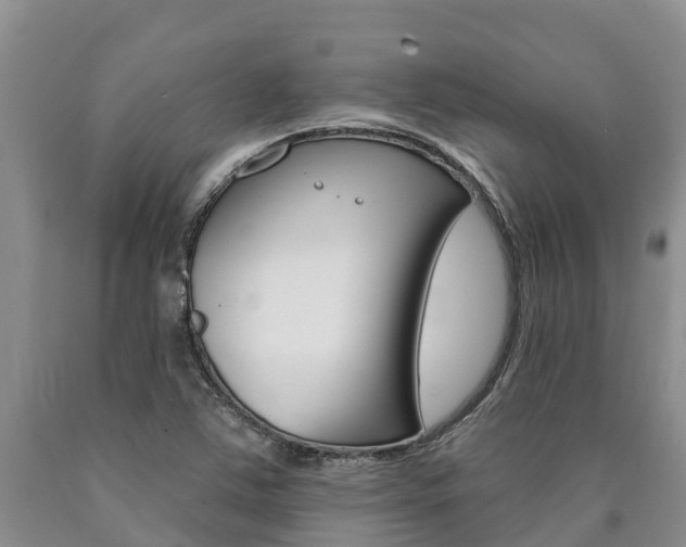 X0000090871363200707270946