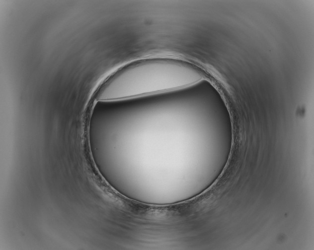 X0000090871364200707270946