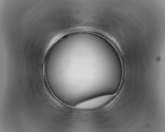 X0000090871365200707270946