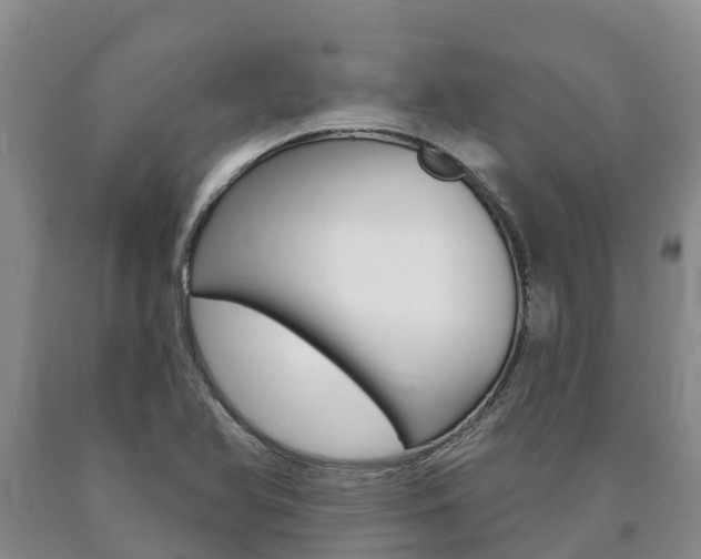 X0000090871366200707270946