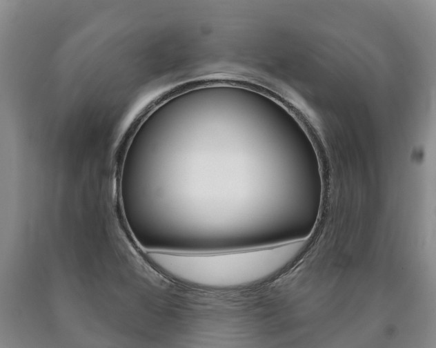 X0000090871368200707270946