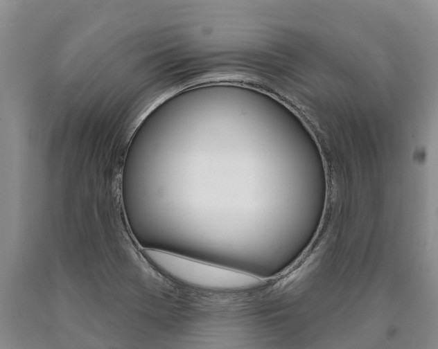 X0000090871369200707270946