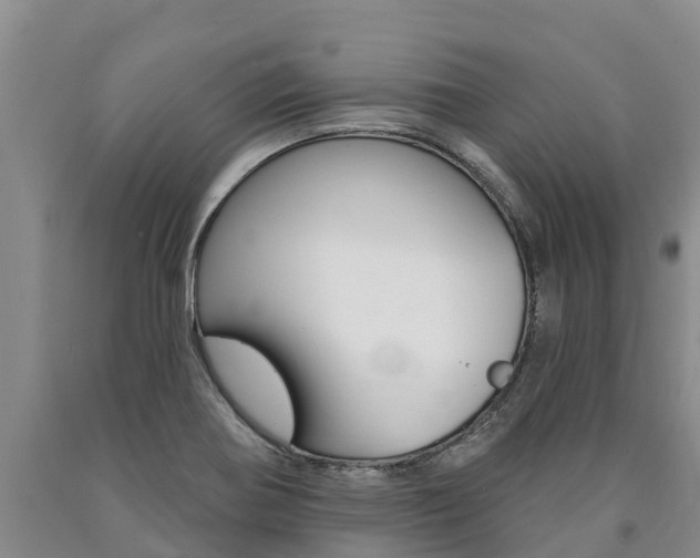 X0000090871370200707270946