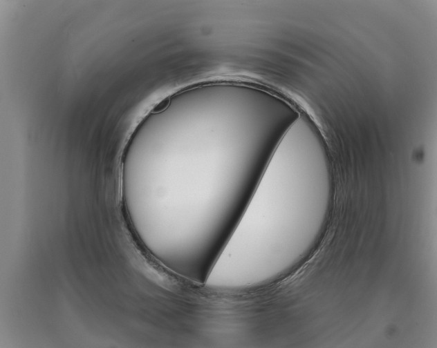 X0000090871371200707270946