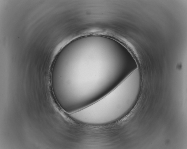 X0000090871373200707270946