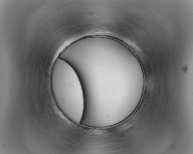 X0000090871374200707270946