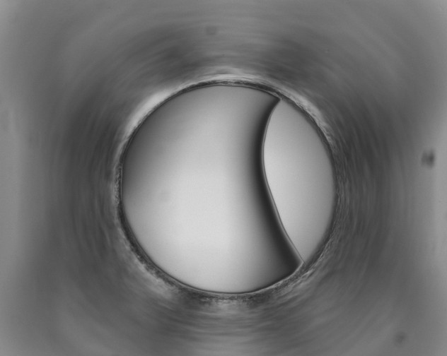 X0000090871375200707270946