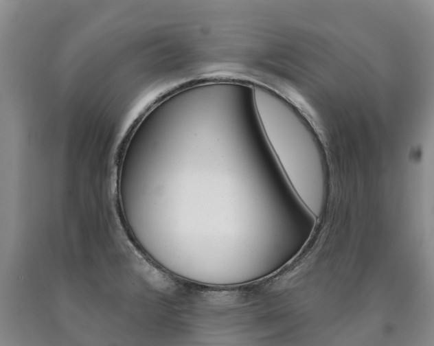 X0000090871376200707270946
