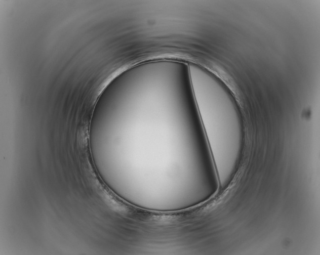 X0000090871377200707270946