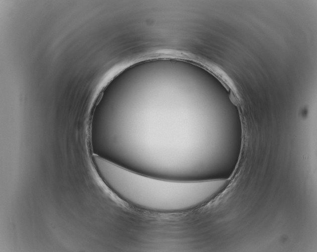 X0000090871381200707270946