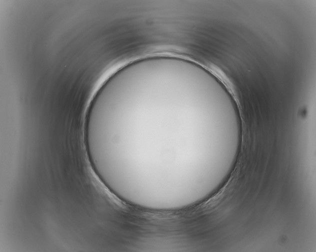 X0000090871384200707270945