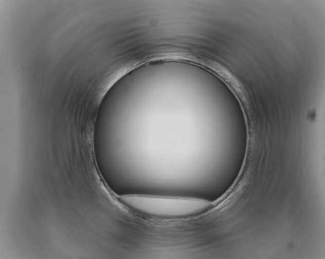 X0000090871385200707270945