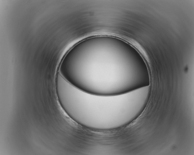 X0000090871388200707270945