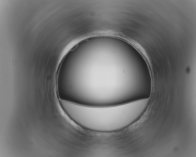 X0000090871389200707270945