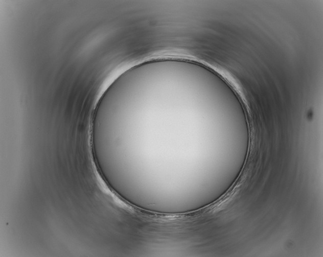 X0000090871390200707270945