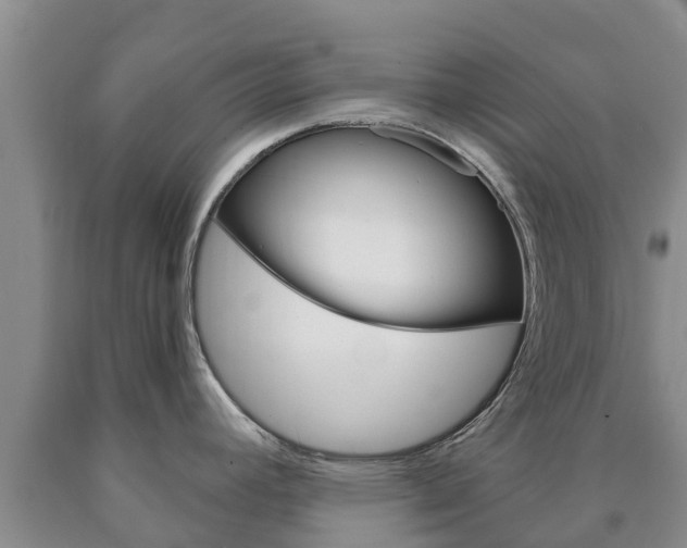 X0000090871392200707270945
