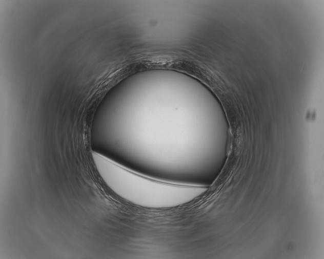 X0000090871394200707270944