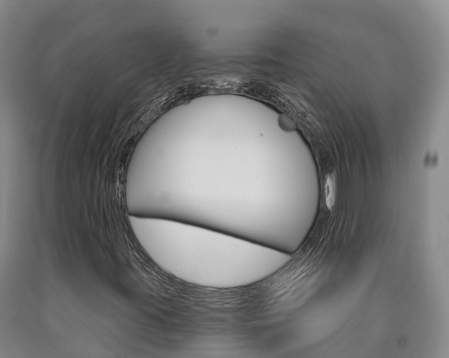 X0000090871395200707270944