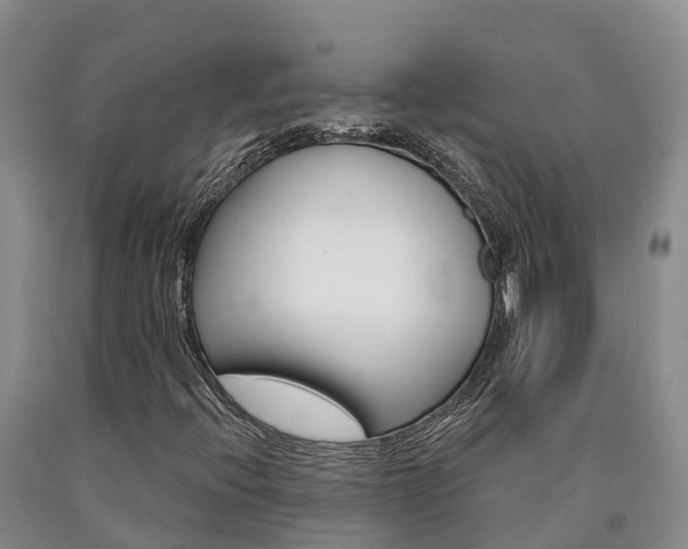 X0000090871396200707270945