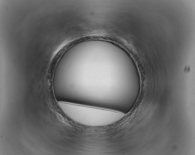X0000090871400200707270945