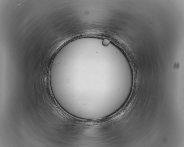 X0000090871401200707270945