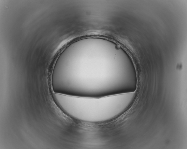 X0000090871404200707270945