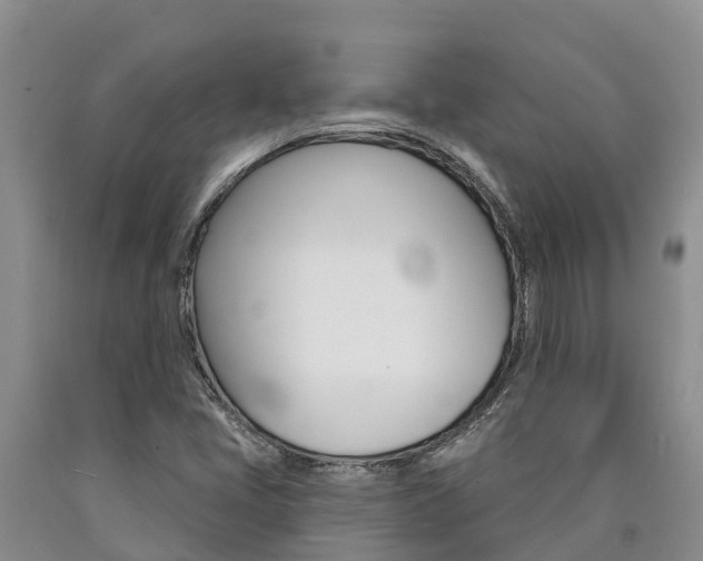 X0000090871405200707270945