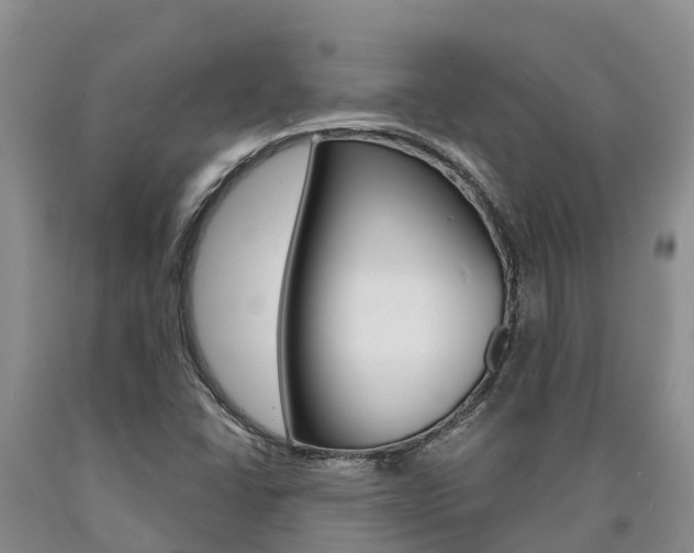 X0000090871406200707270945