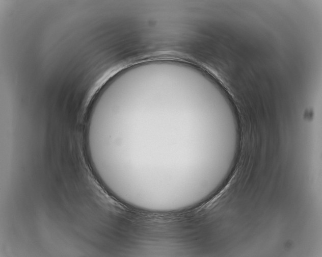 X0000090871410200707270945