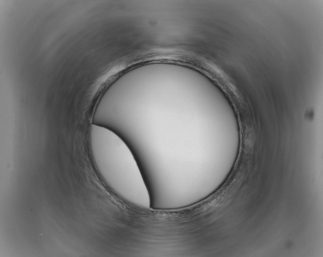 X0000090871411200707270945
